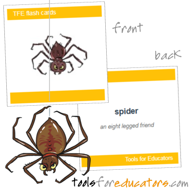 Flashcard maker showing front image and back with word and definition
